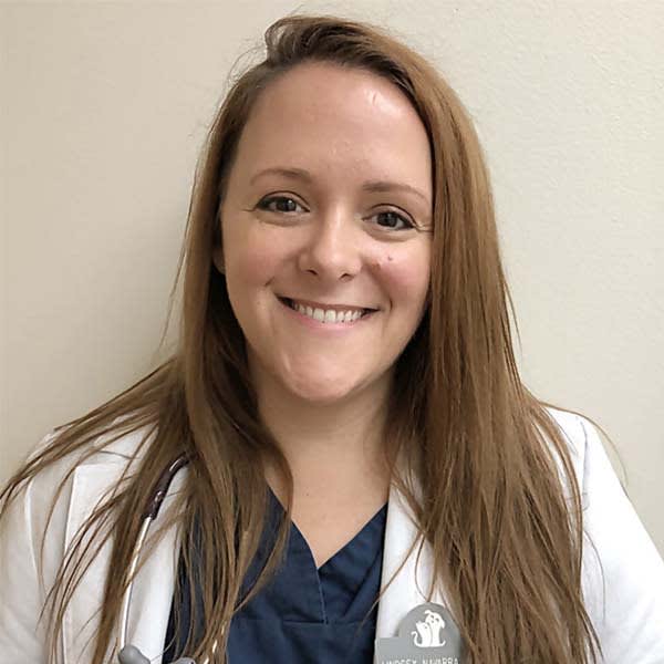 Meet Dr. Lindsey Navarra, Kennesaw Veterinarian